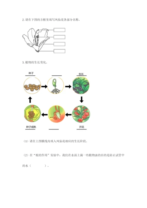 教科版科学四年级下册第一单元《植物的生长变化》测试卷精品（能力提升）.docx