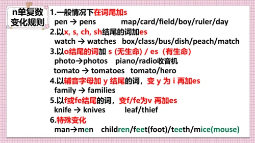 Unit 2 This is my sister 单元复习课件