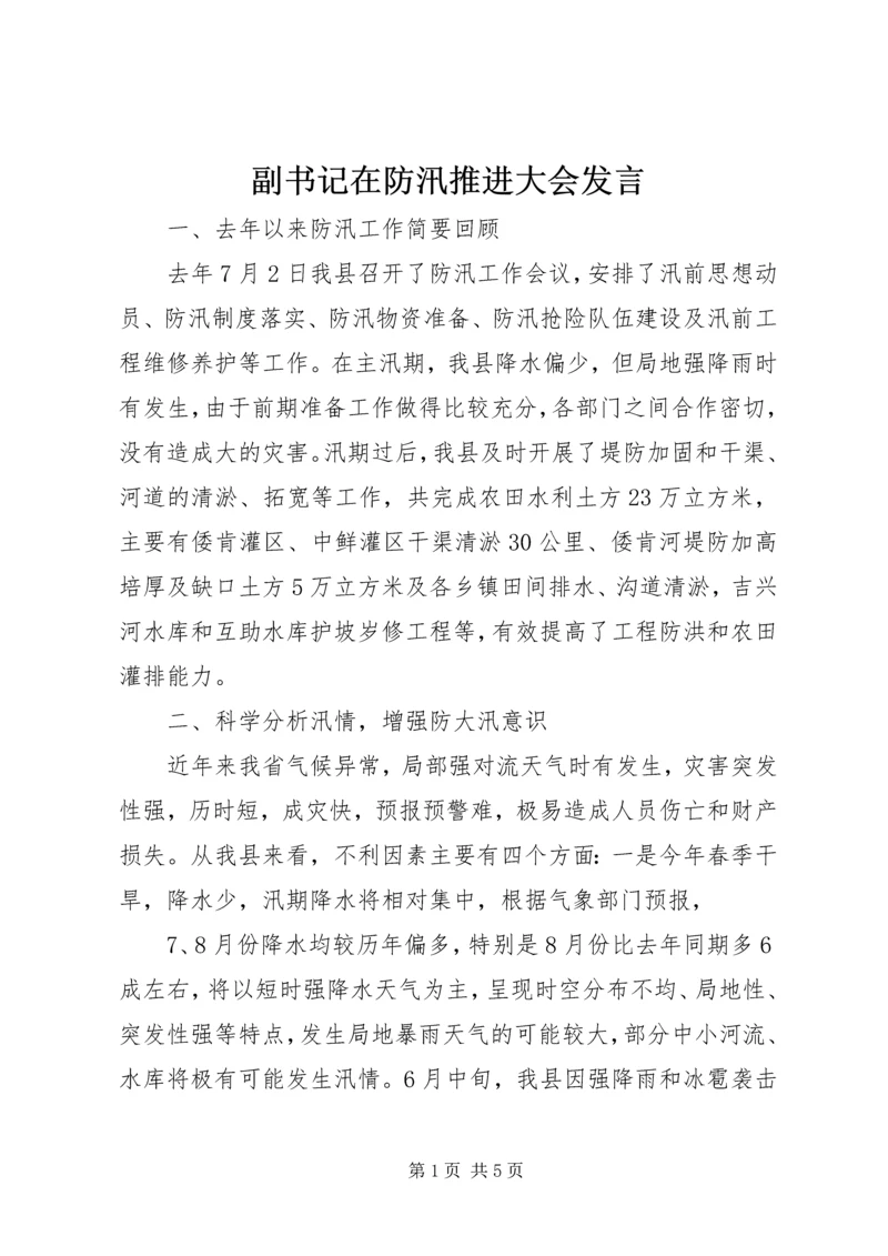 副书记在防汛推进大会发言.docx