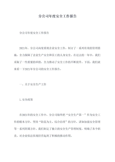 分公司年度安全工作报告
