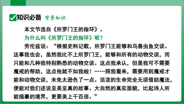 17.动物笑谈（课件）【2023秋人教七上语文高效实用备课】(共33张PPT)