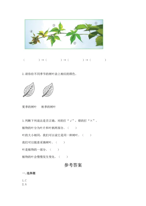 教科版科学一年级上册第一单元《植物》测试卷精品（典优）.docx