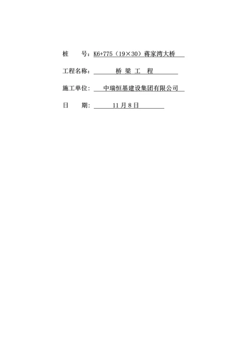 大桥锥坡综合施工专题方案.docx