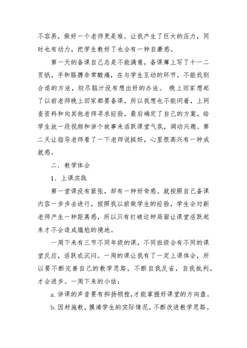 美术教师的实习报告范文