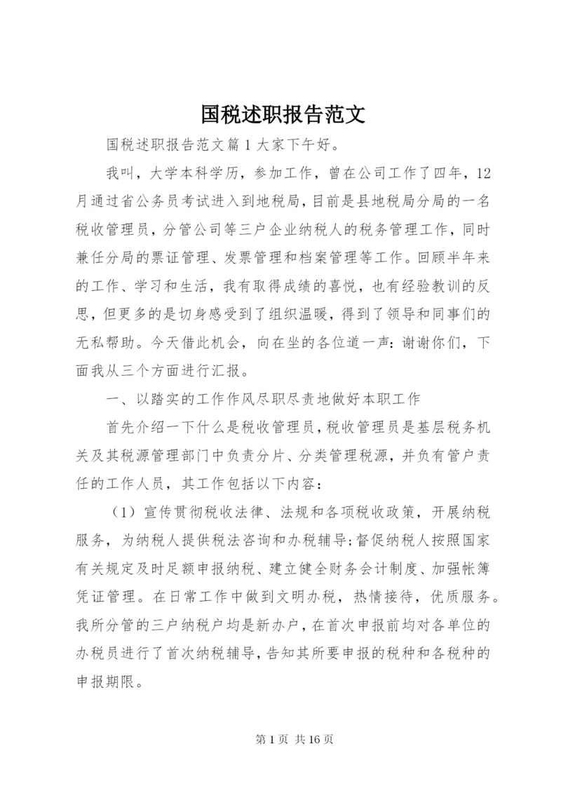 国税述职报告范文.docx