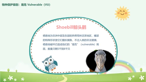 世界动物日小动物集合PPT模板