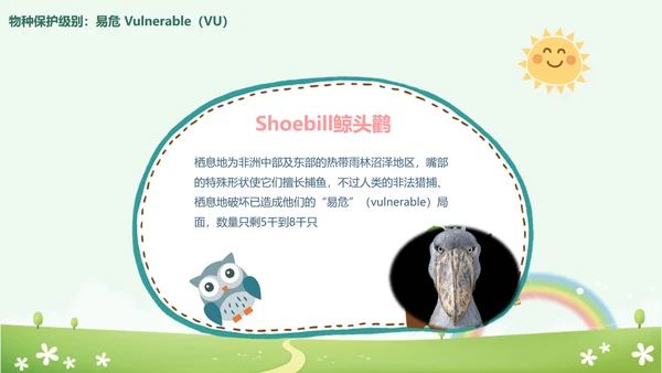 世界动物日小动物集合PPT模板