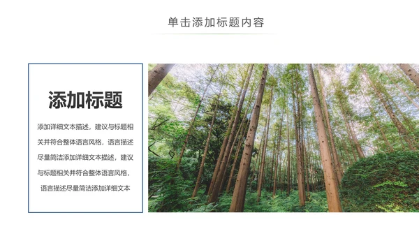 原始森林湿地植树造林森林环保PPT模板