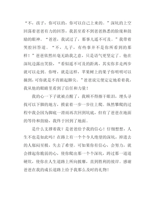 礼物作文800字-120.docx