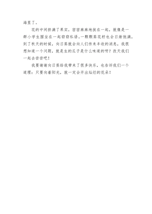 我们眼中的缤纷世界三年级作文300字精选（10篇）.docx