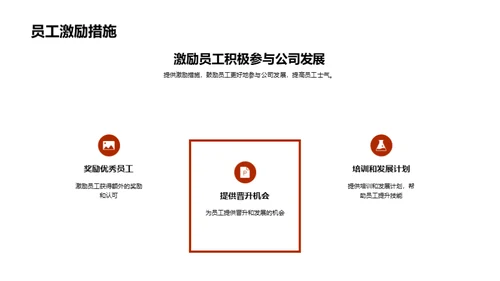 公司战略及业绩分析