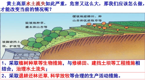 第六单元第一课 北方地区 第2课时（沟壑纵横的黄土高原）课件（23张PPT）