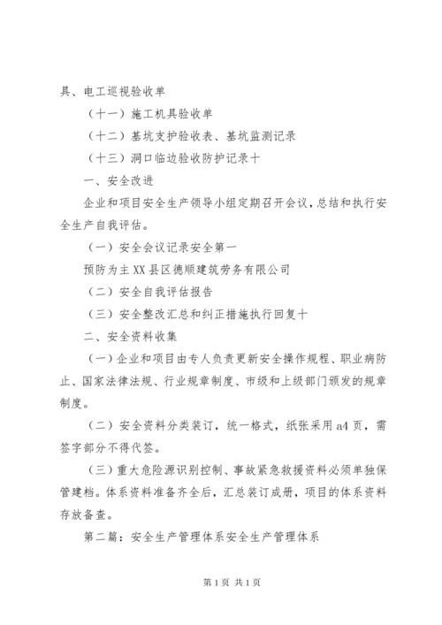 企业安全生产管理体系5篇.docx