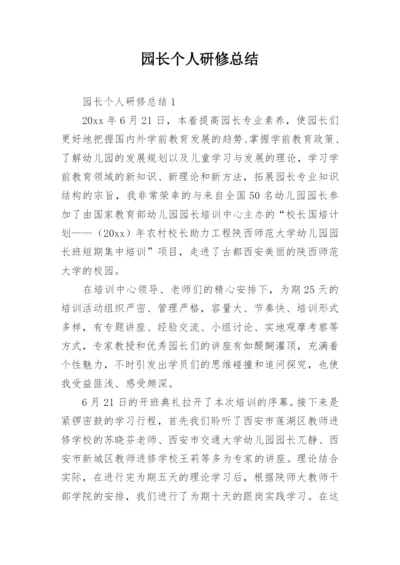 园长个人研修总结.docx