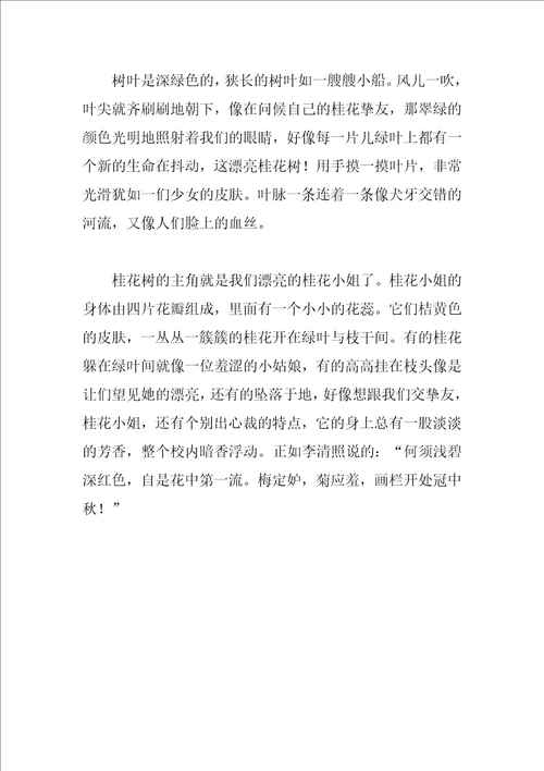 描绘桂花的作文