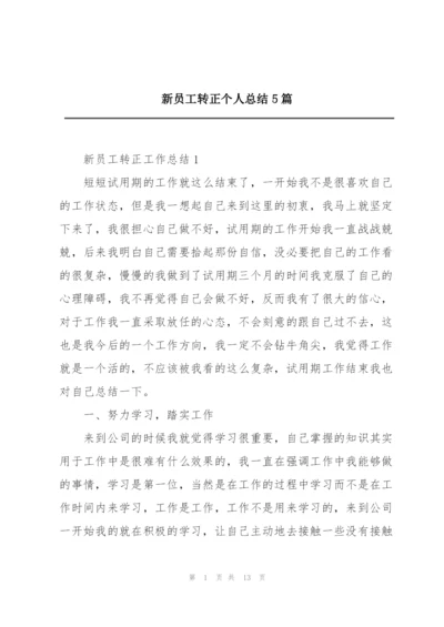 新员工转正个人总结5篇.docx