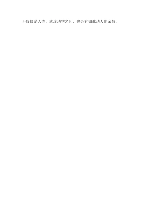 一件令我感动的事作文400字.docx