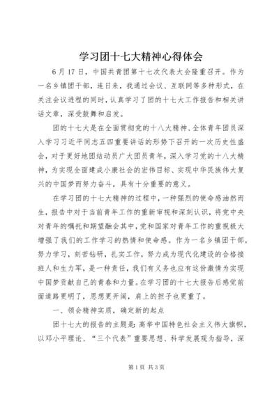 学习团十七大精神心得体会.docx