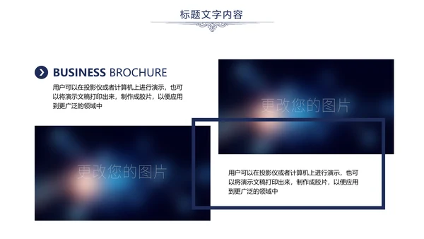 欧式尊贵奢华商务年终总结述职报告PPT模板