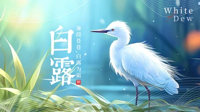 美丽的梦幻传统节气白露PPT模板