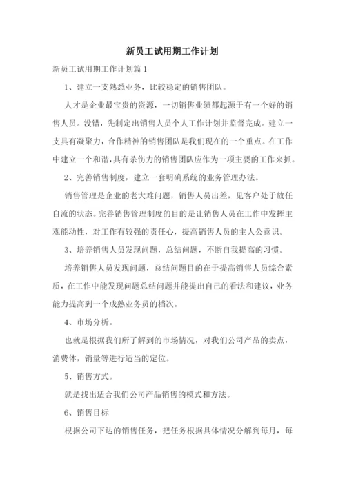 新员工试用期工作计划.docx