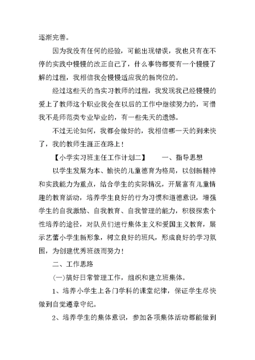 XX年小学实习班主任工作计划范文