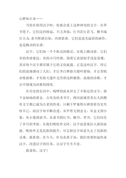 我爱你中国汉字作文.docx