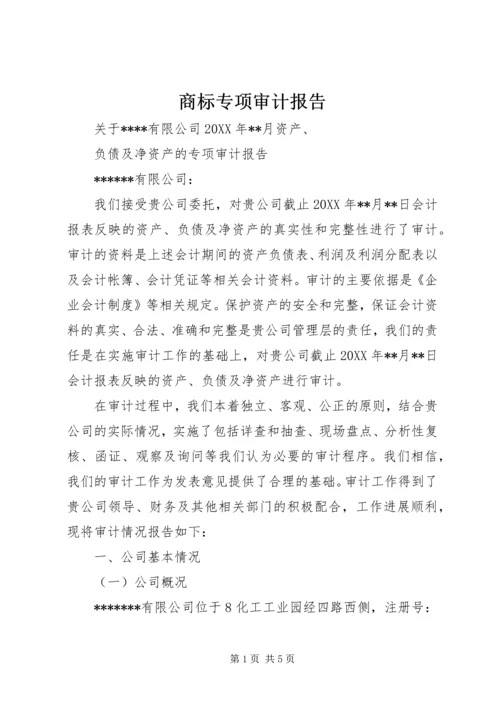 商标专项审计报告 (3).docx