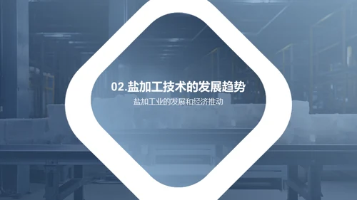 盐业革新：技术引领未来