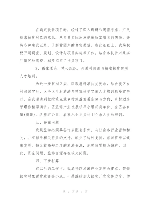 精准扶贫工作总结.docx