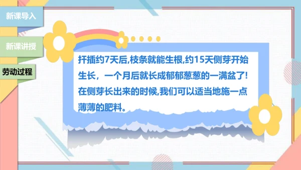【北师大版】二年级《劳动实践指导手册》第11课《一起来种太阳花》课件