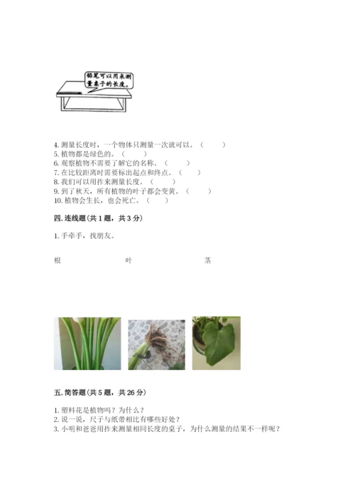 教科版一年级上册科学期末测试卷附参考答案【综合卷】.docx
