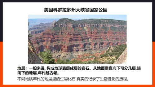 生命起源和生物进化企鹅通用PPT模板