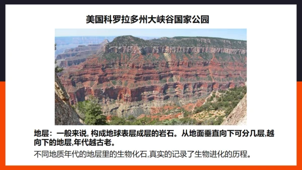 生命起源和生物进化企鹅通用PPT模板