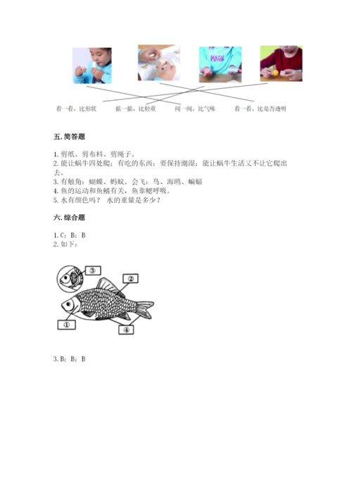 教科版一年级下册科学期末测试卷及完整答案（网校专用）.docx