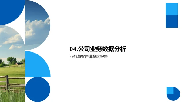 公司年度绩效回顾