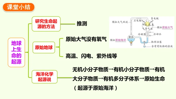 7.3.1地球上生命的起源-八年级生物人教版下学期同步精品课件(共23张PPT)