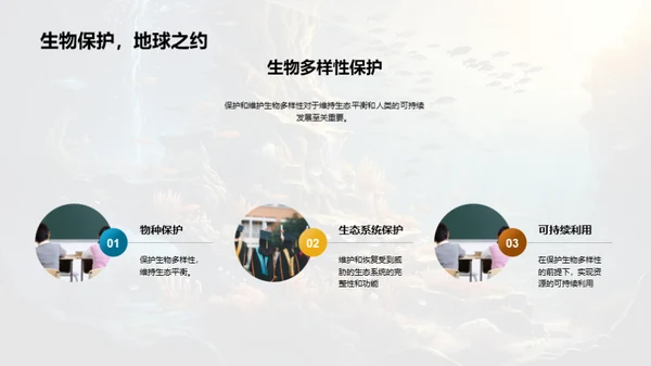 探索生物演化历程