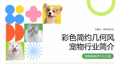 彩色简约几何风宠物行业职业介绍PPT模板