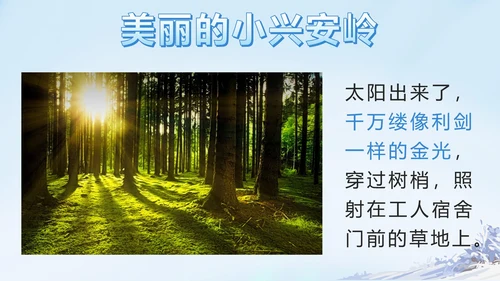 部编版三年级上册第二十课美丽的小兴安岭PPT模板