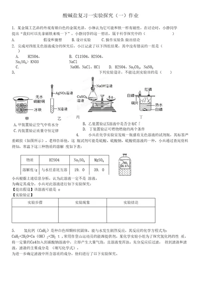 初中化学酸碱盐复习实验探究一作业作业