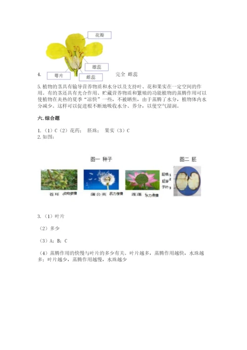 教科版四年级下册科学第一单元《植物的生长变化》测试卷（夺冠）.docx