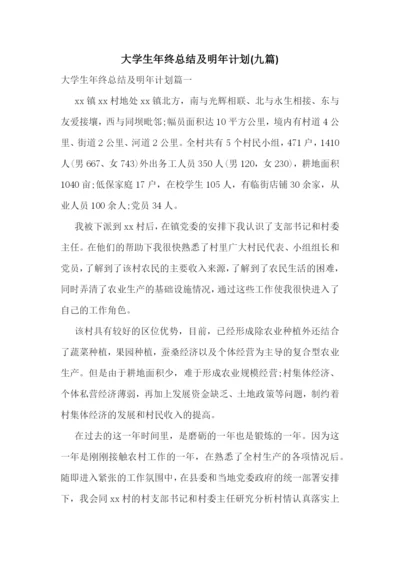 大学生年终总结及明年计划(九篇).docx