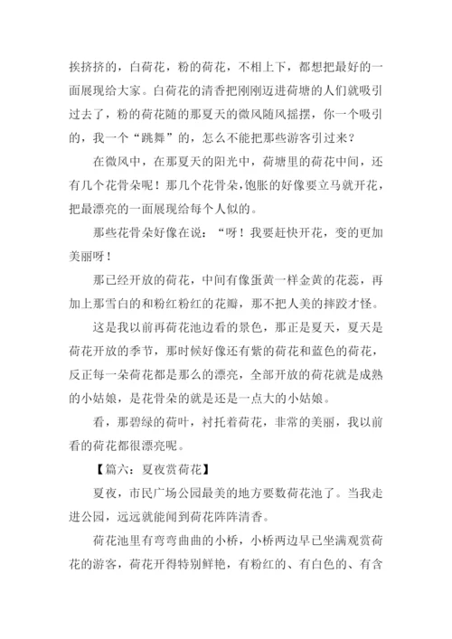 夏天的荷花作文200字.docx