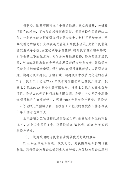 经发办工作总结及下年工作计划.docx