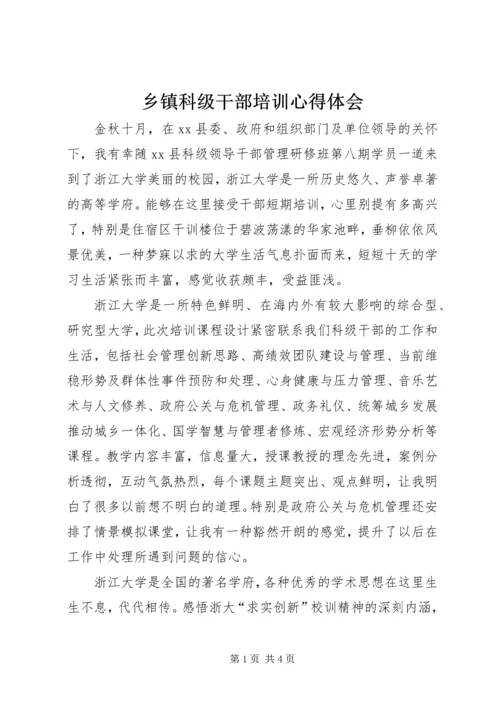 乡镇科级干部培训心得体会.docx