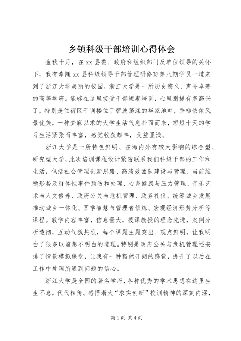 乡镇科级干部培训心得体会.docx