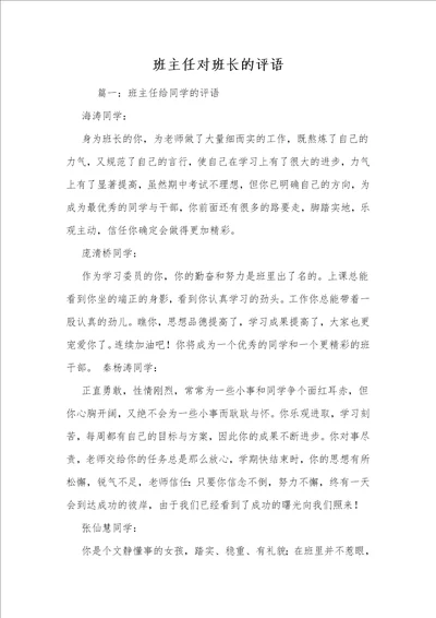 班主任对班长的评语 1