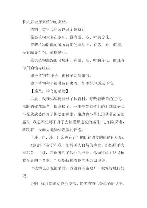 神奇的植物作文.docx