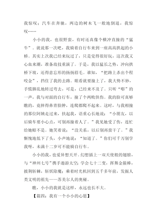 小小的作文0.docx